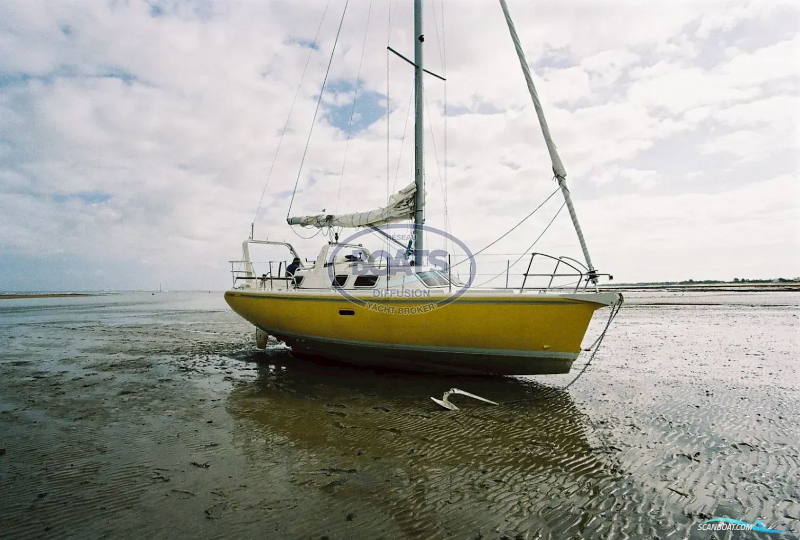 Afep Marine Manatea 350