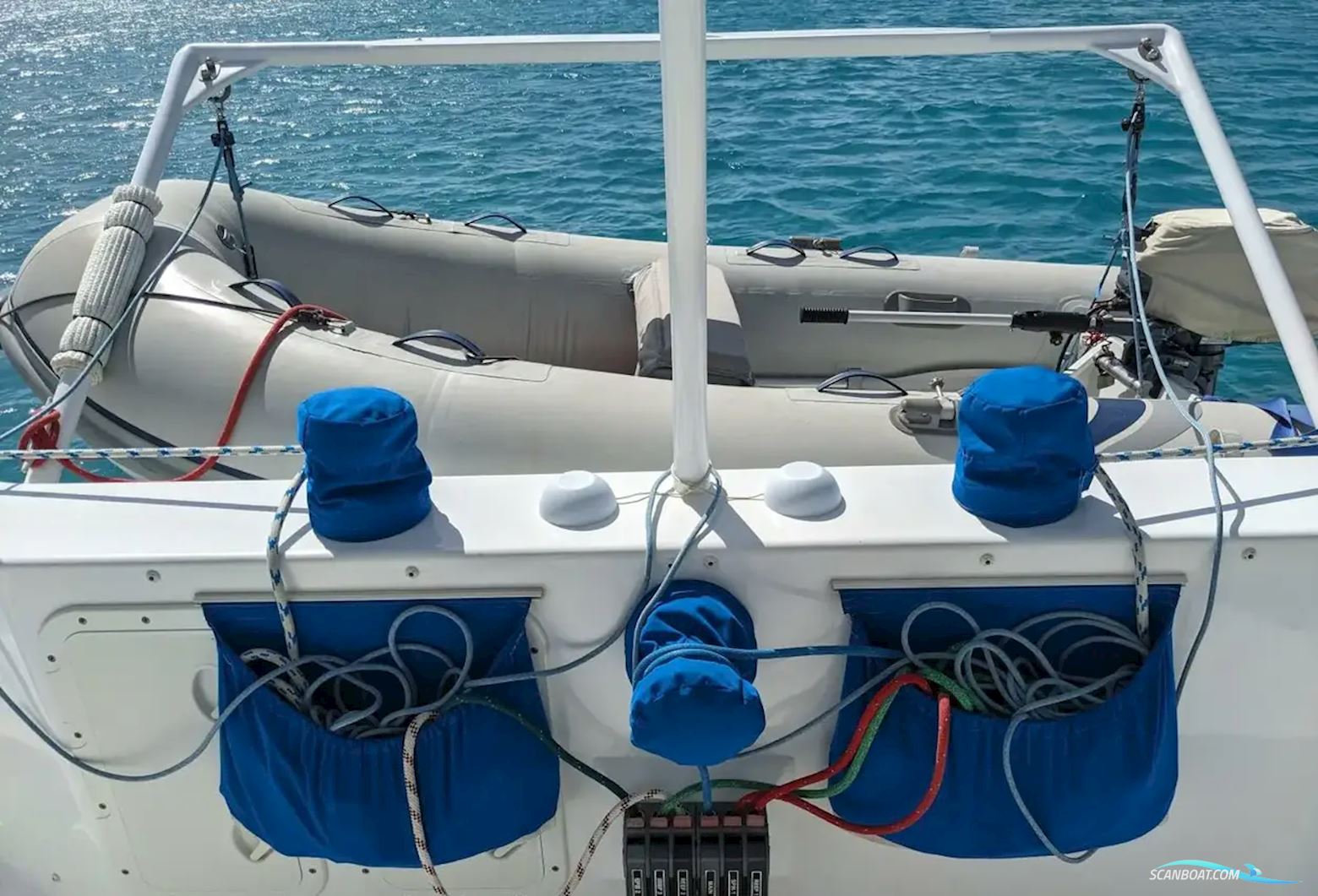 African Cats Fast Cat 435