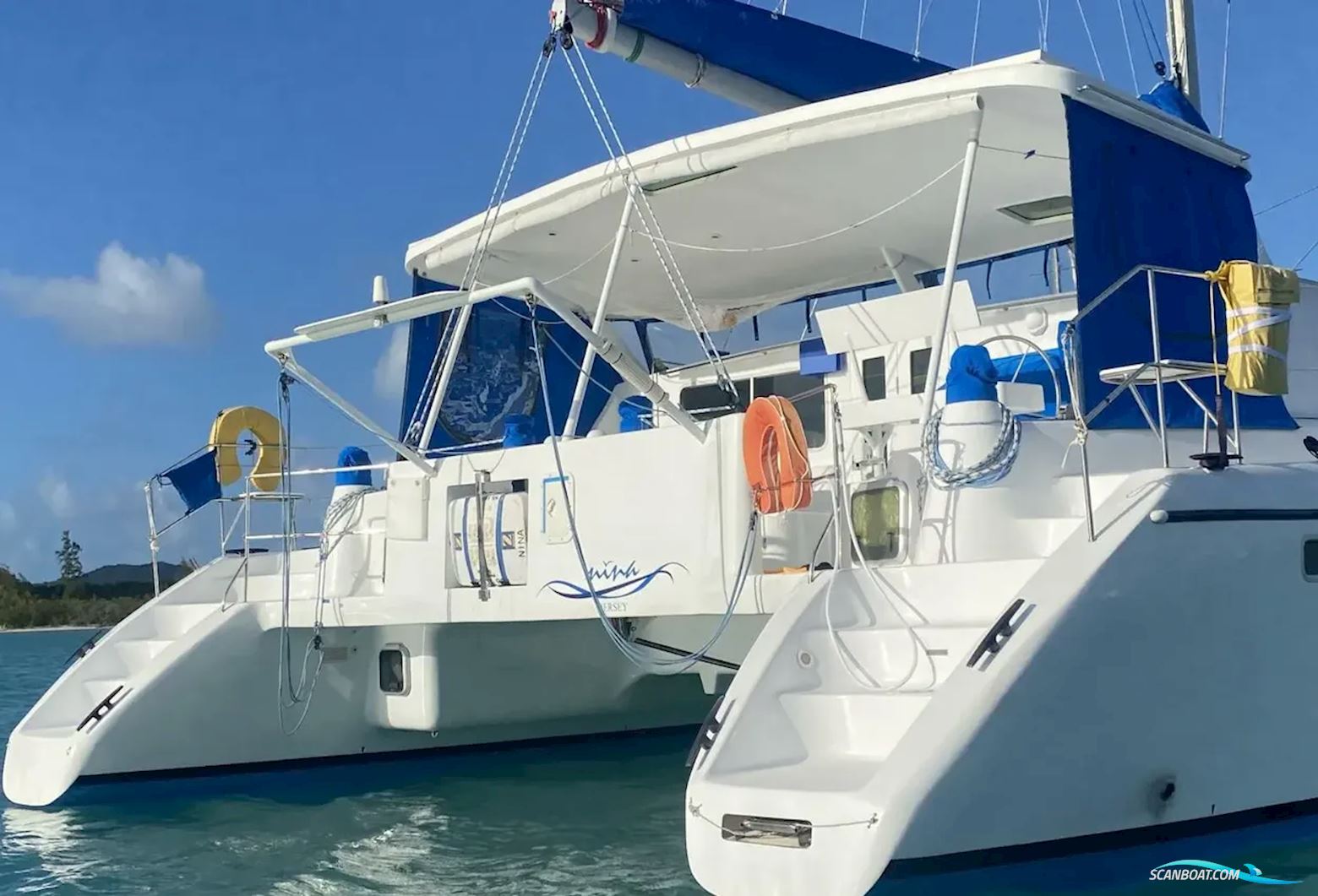 African Cats Fast Cat 435