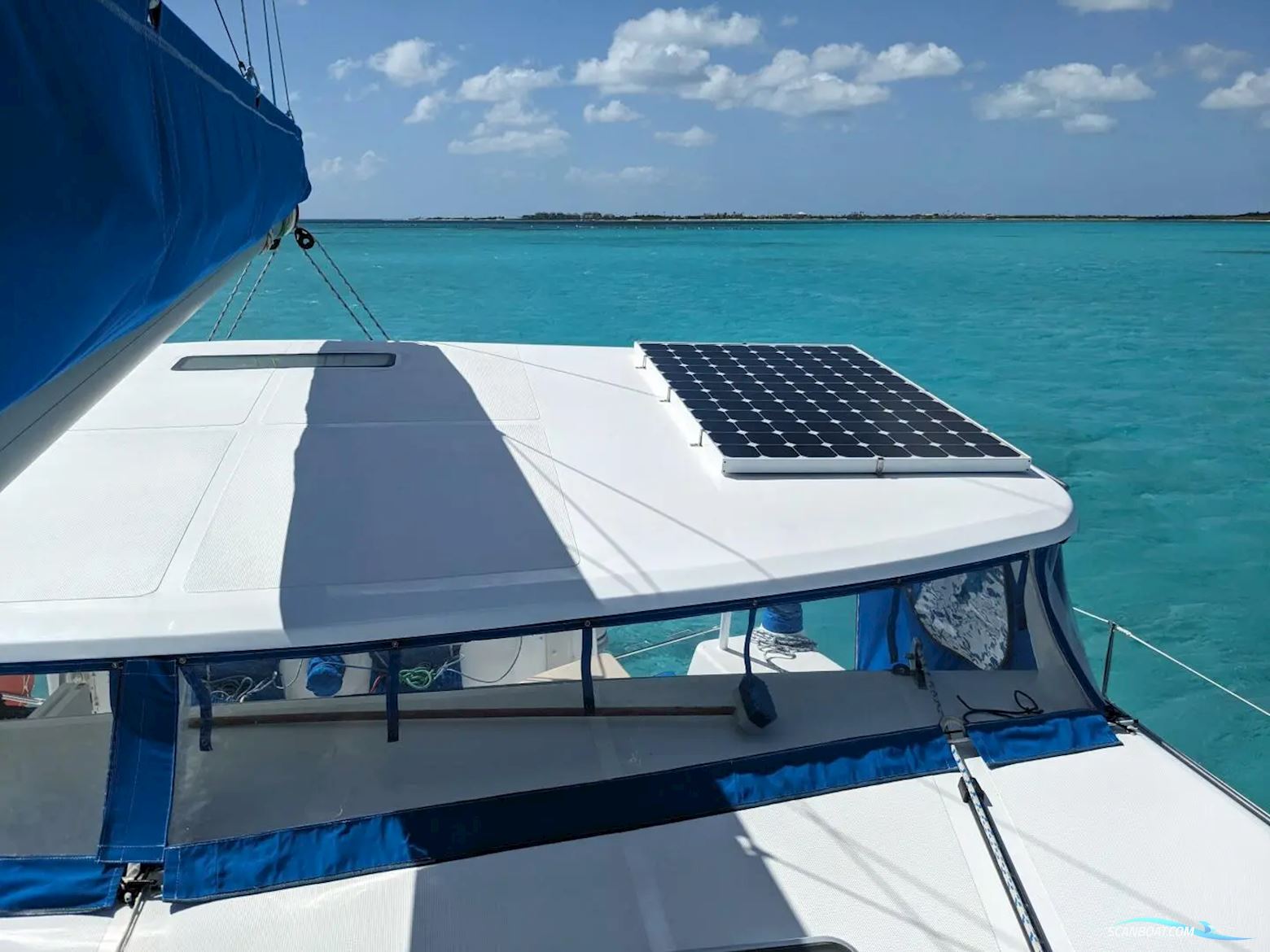 African Cats Fast Cat 435