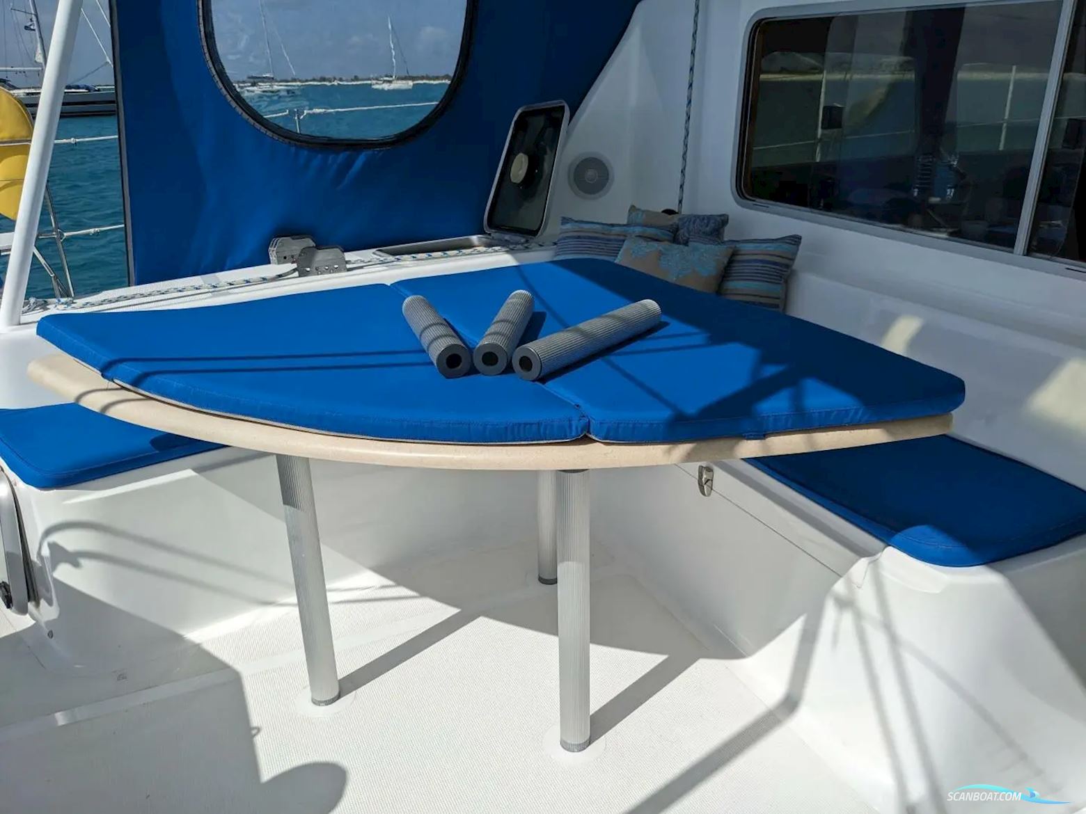 African Cats Fast Cat 435