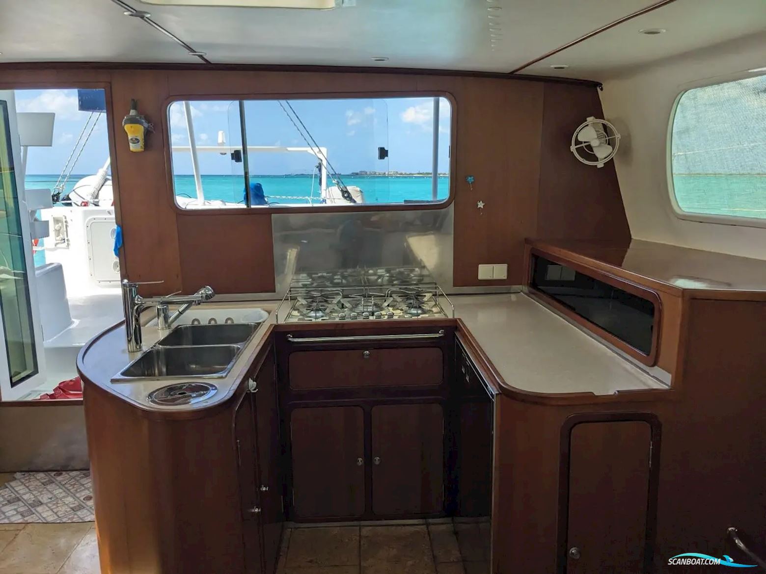 African Cats Fast Cat 435