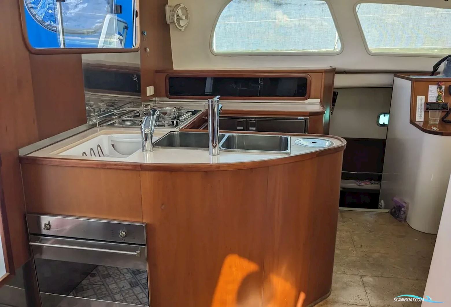 African Cats Fast Cat 435