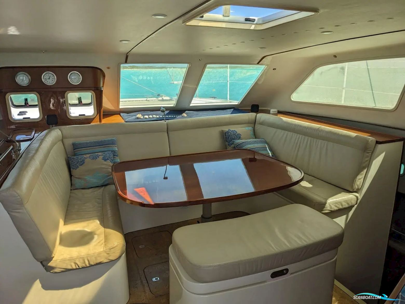 African Cats Fast Cat 435