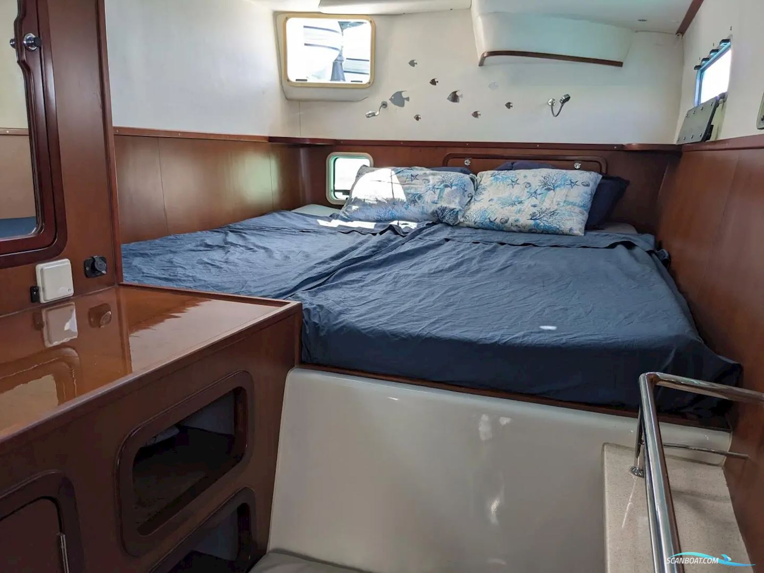 African Cats Fast Cat 435