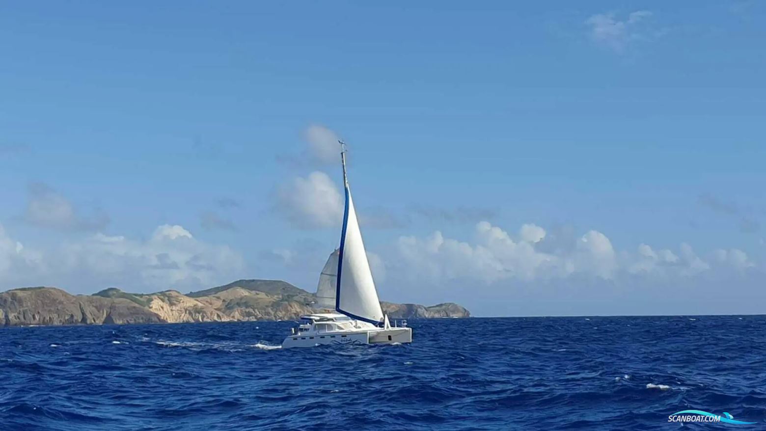 African Cats Fast Cat 435