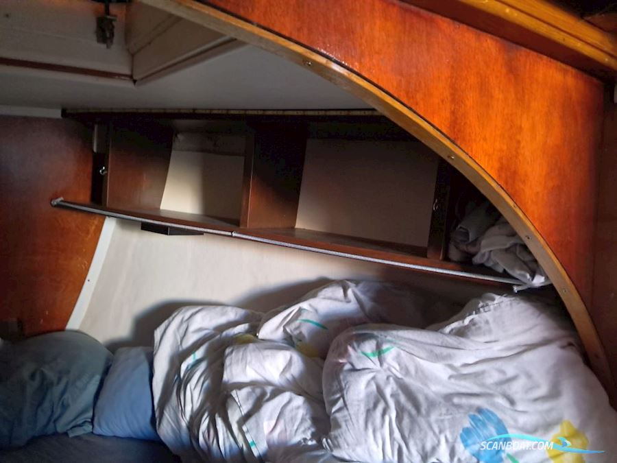 Albatros 33-Bud Modtages