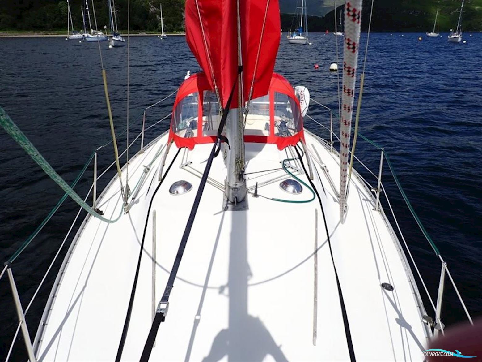 Albin  Cumulus 8.5m