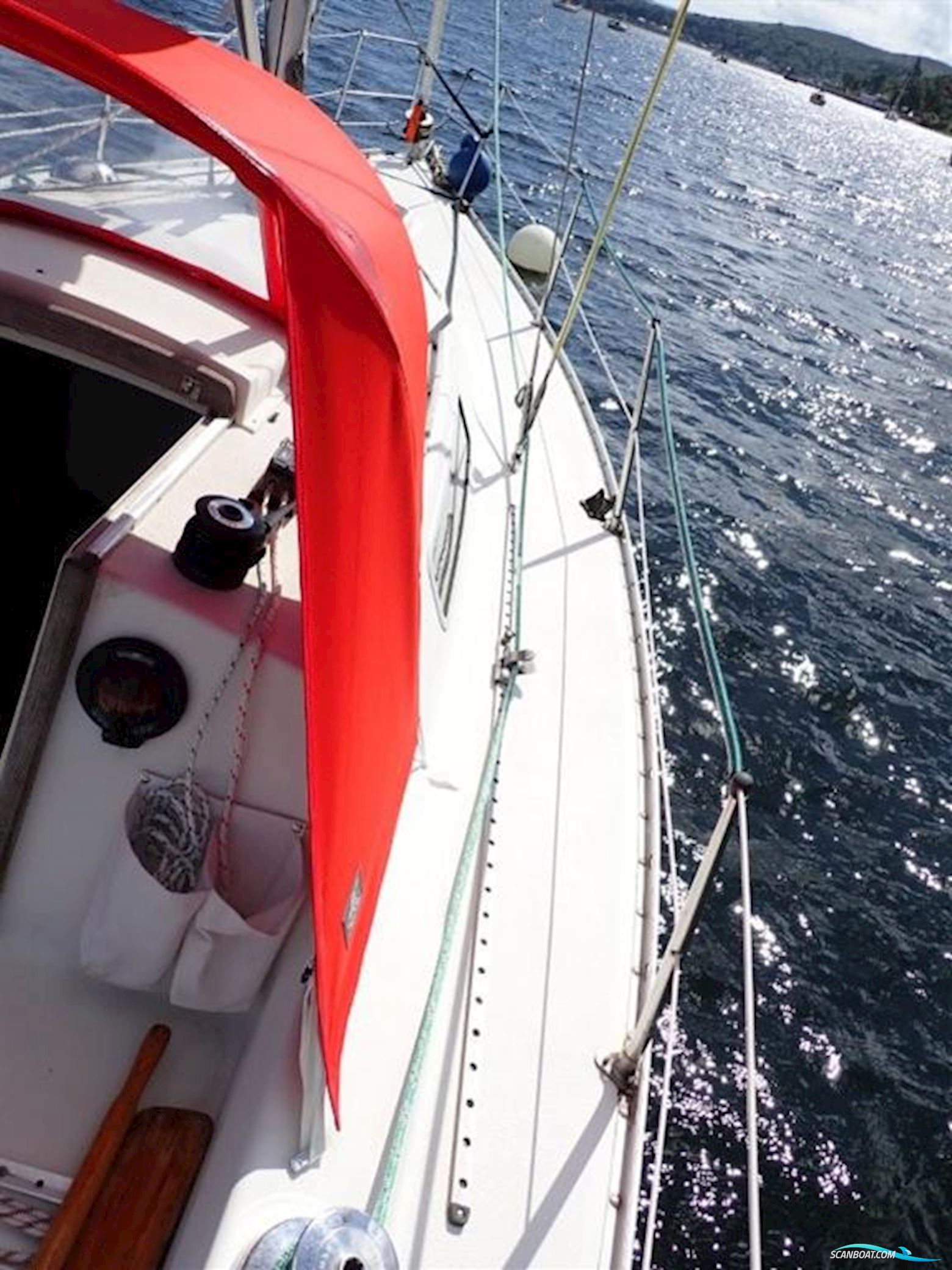 Albin  Cumulus 8.5m
