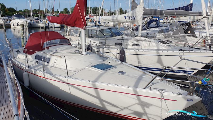 Albin Alpha 29 Sejlbåd 1989, med Yanmar 10 motor, Danmark