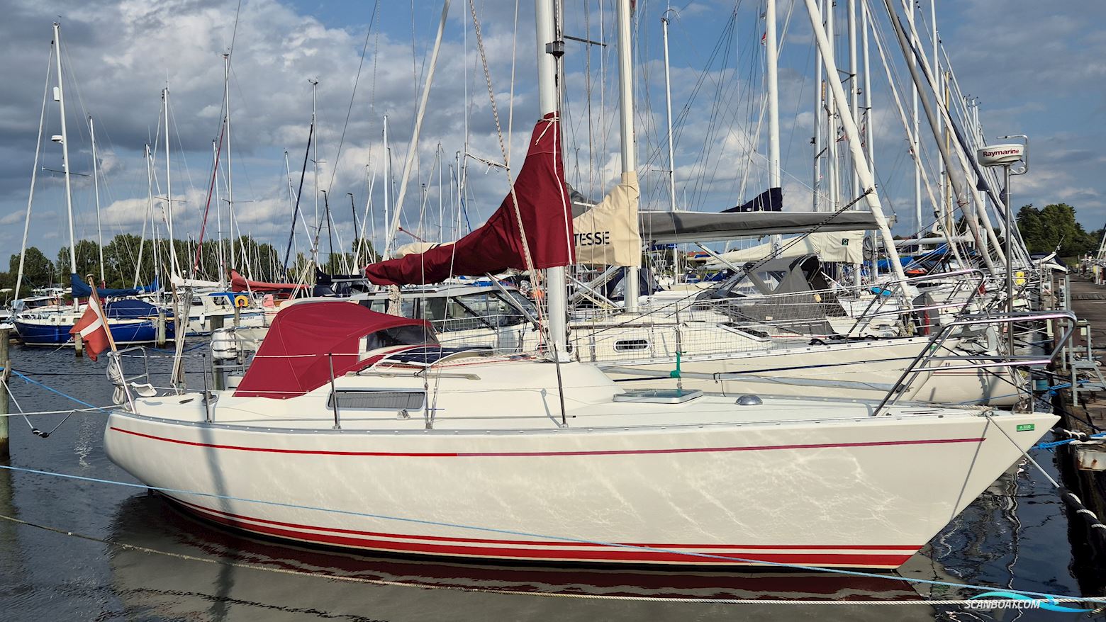 Albin Alpha 29 Sejlbåd 1989, med Yanmar 10 motor, Danmark