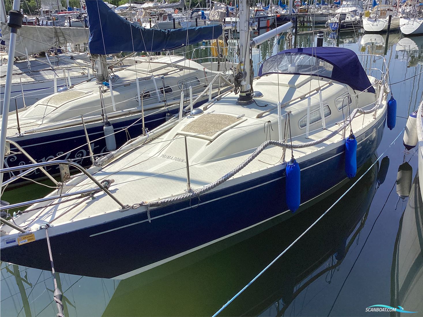 Albin Ballad Motor Som Ny Sejlb d Til Salg Danmark Scanboat