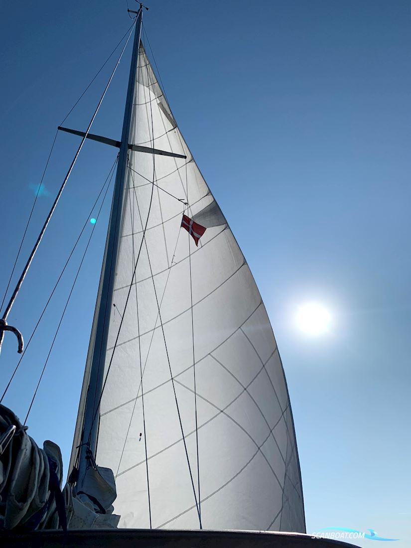 Albin Ballad - Neuer Motor Nanni N3.21 - 0,00 sm