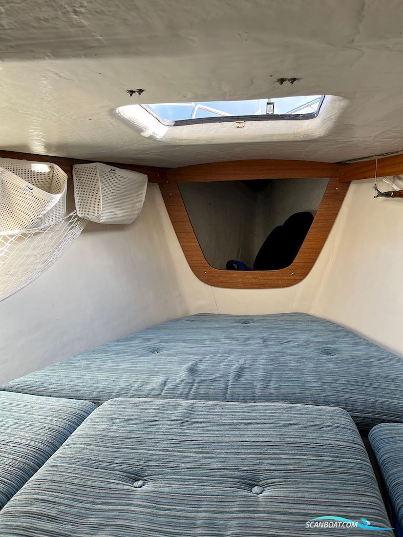 Albin Express Sejlbåd 1986, med Honda 6 HK motor, Danmark