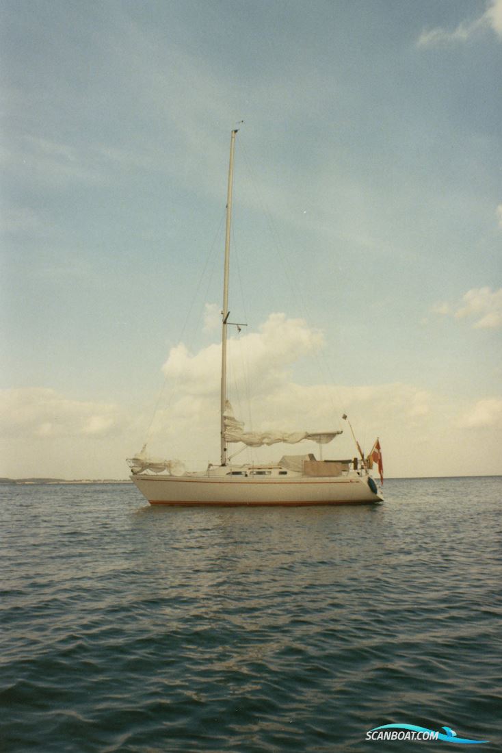 Albin Nova 33