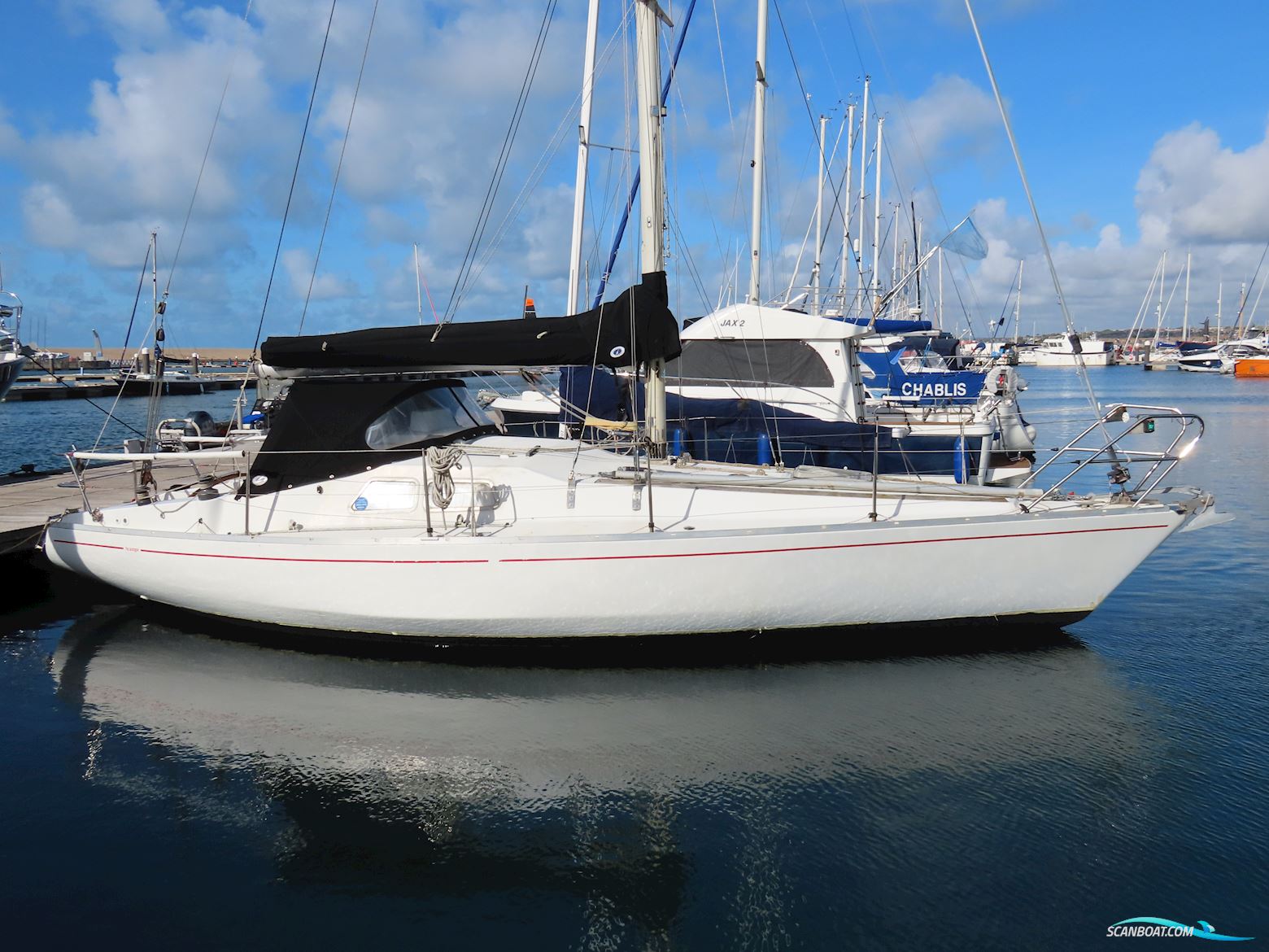 Albin Scampi 30