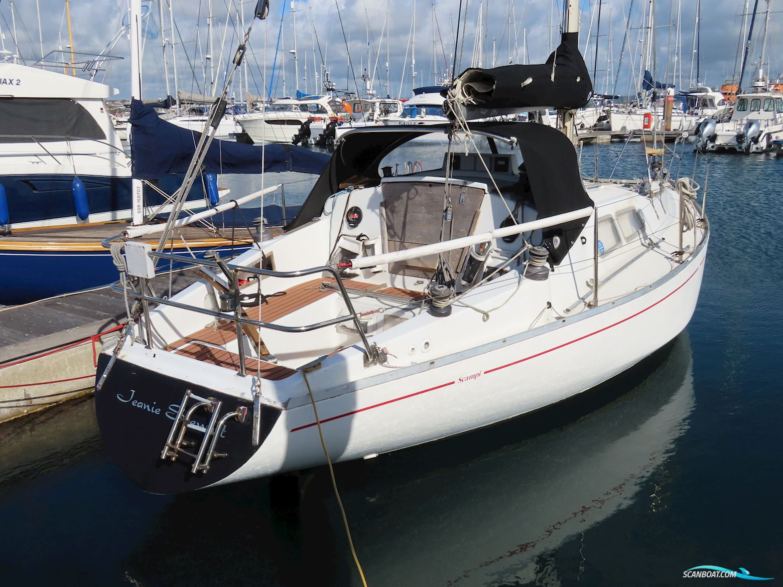 Albin Scampi 30