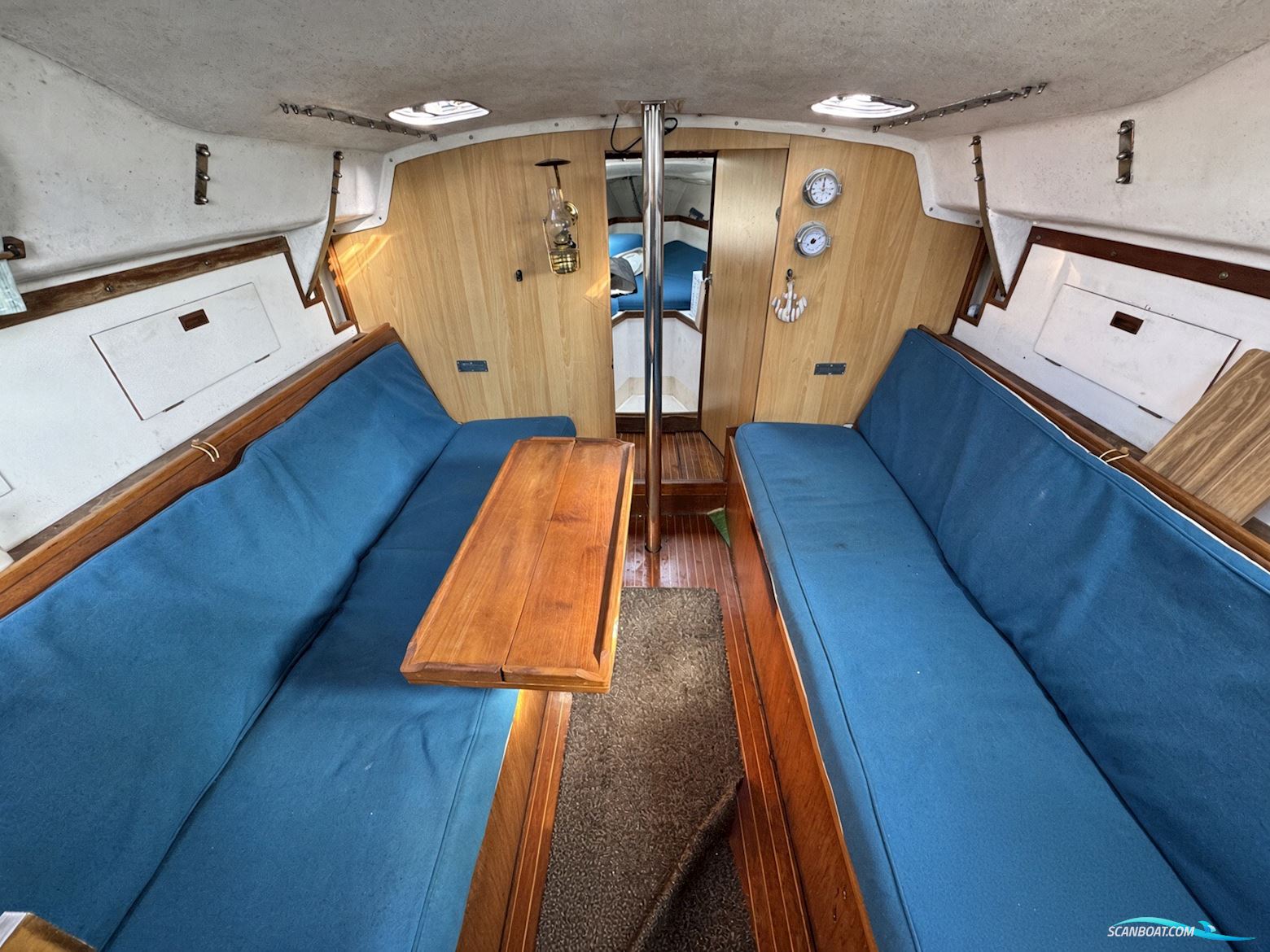 Albin Scampi 30