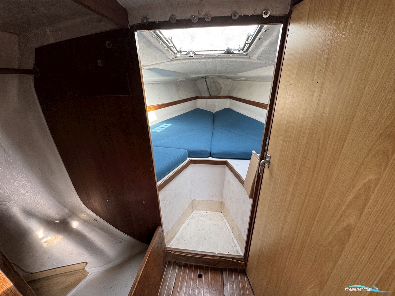 Albin Scampi 30