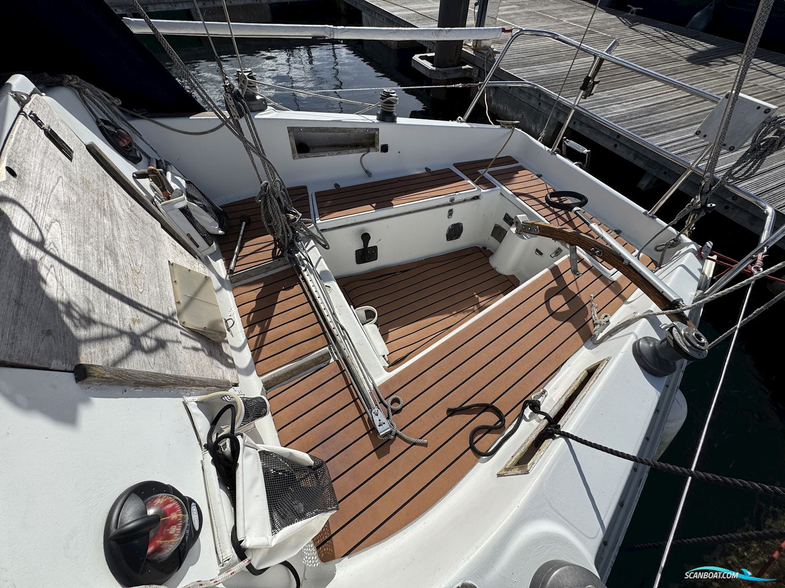 Albin Scampi 30