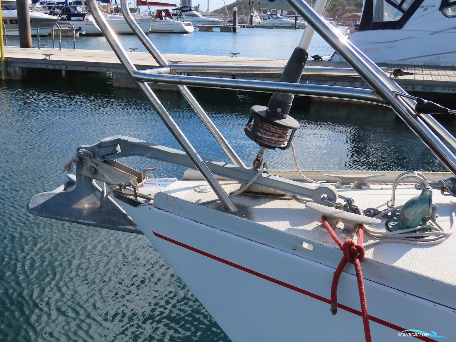 Albin Scampi 30