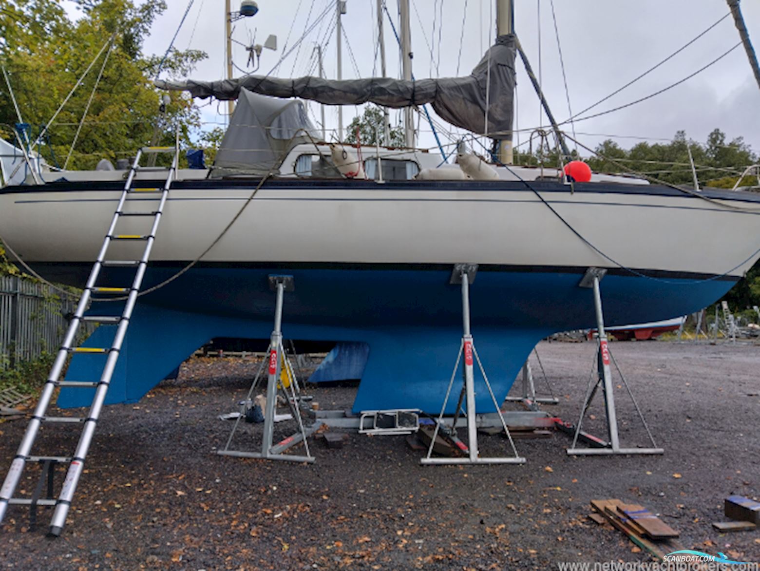 Albin Singoalla 34