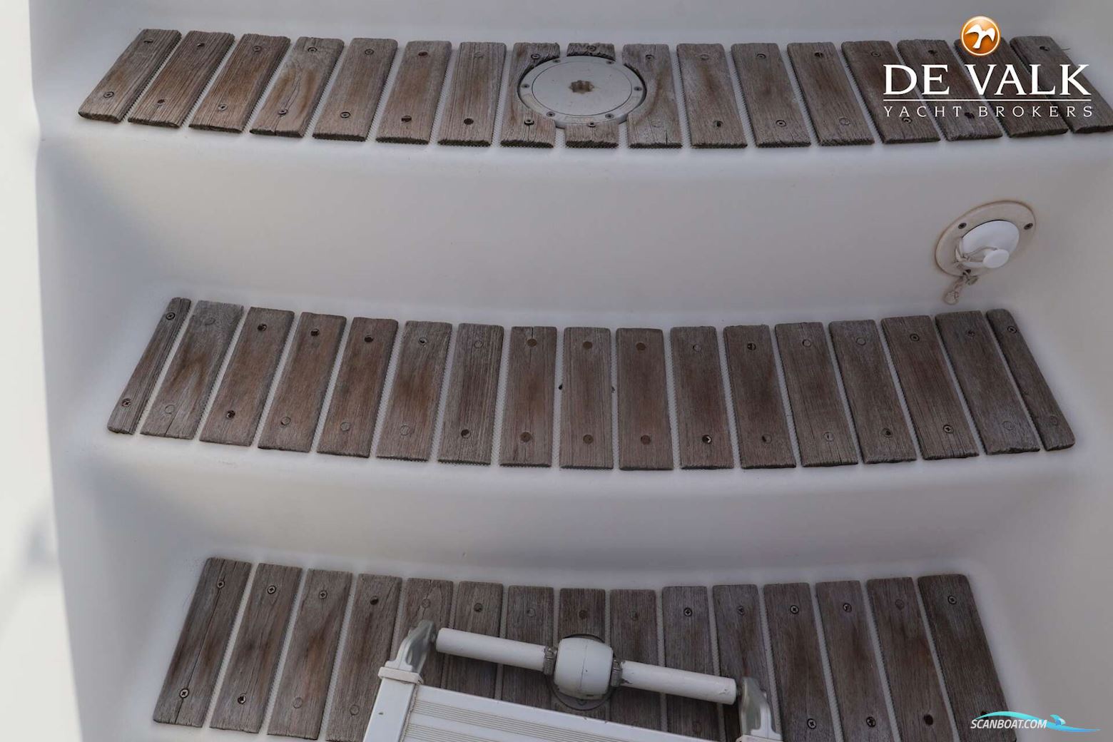 Alliaura Privilege 435