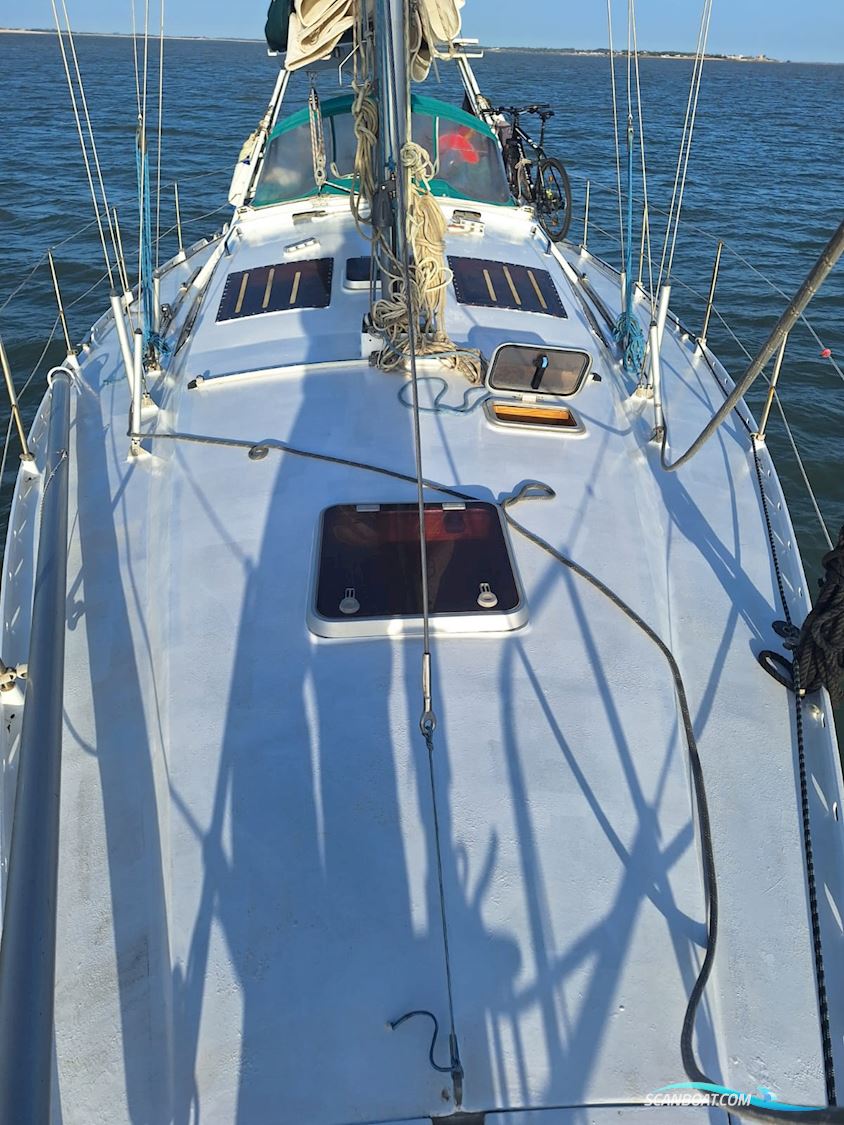 Alubat Sonate Ovni 36