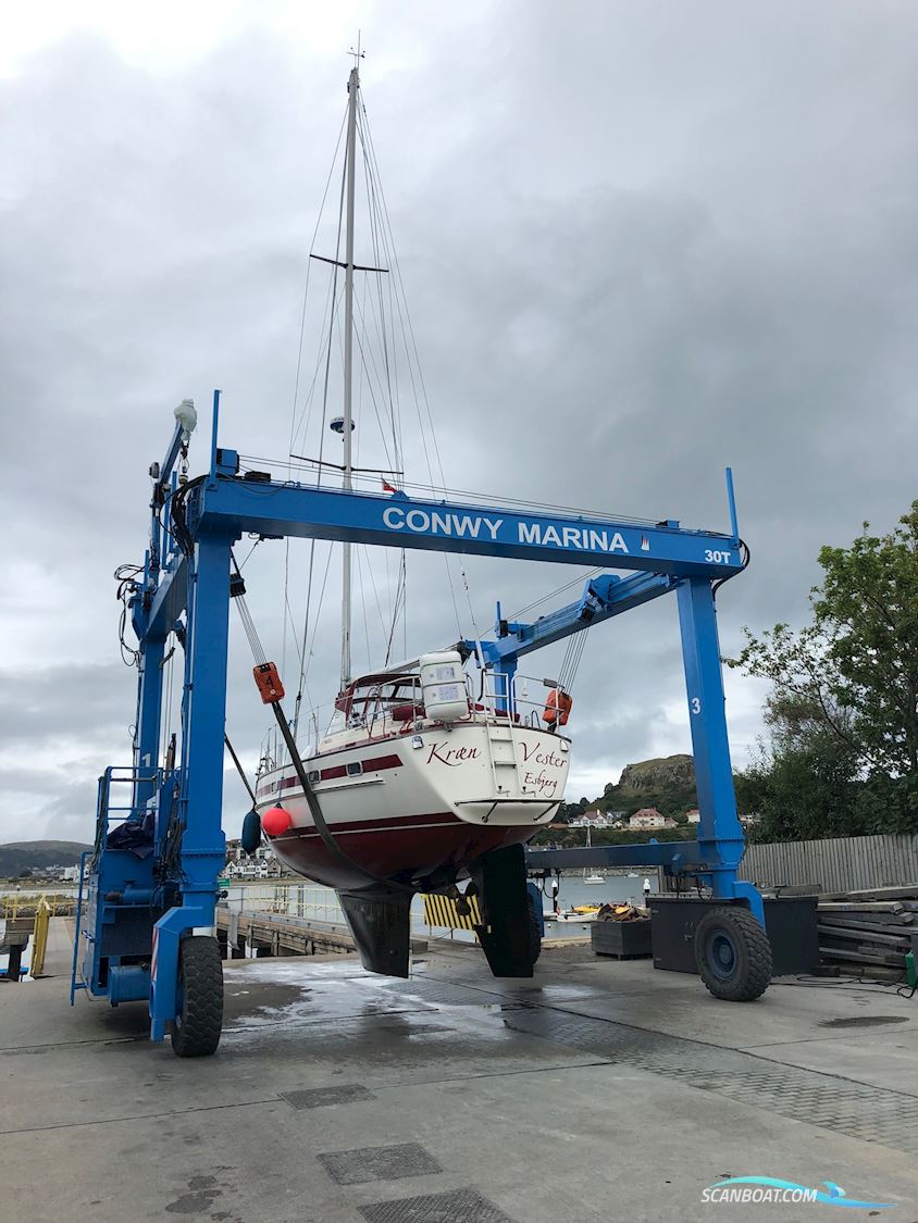 Aphrodite 36