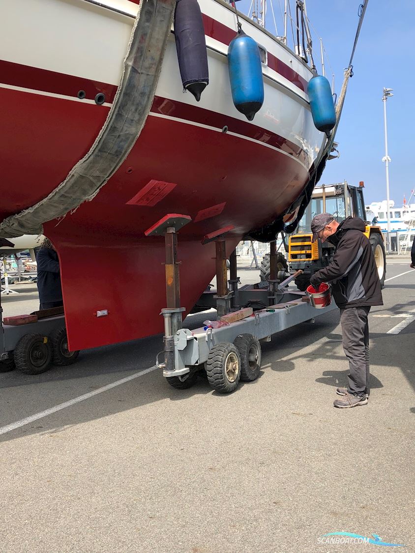 Aphrodite 36