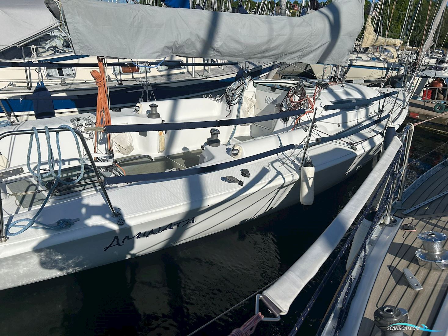 Archambault Grand Surprise