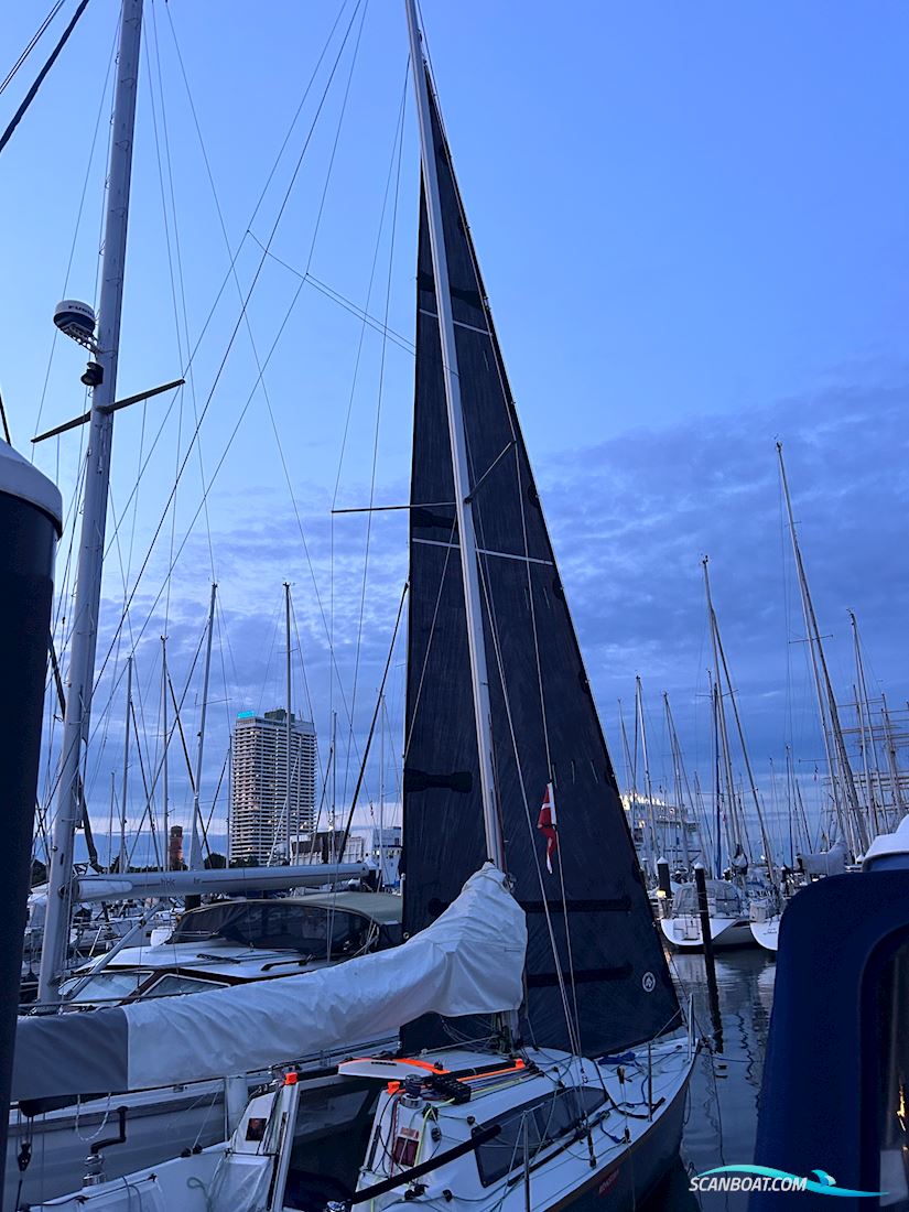 Archambault Surprise