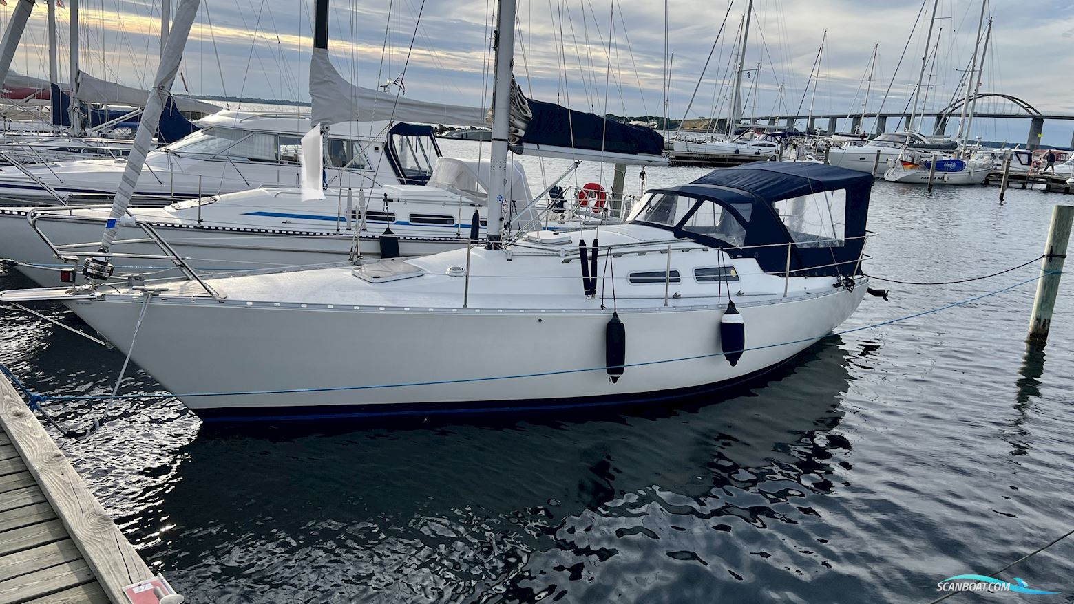 Arcona 32