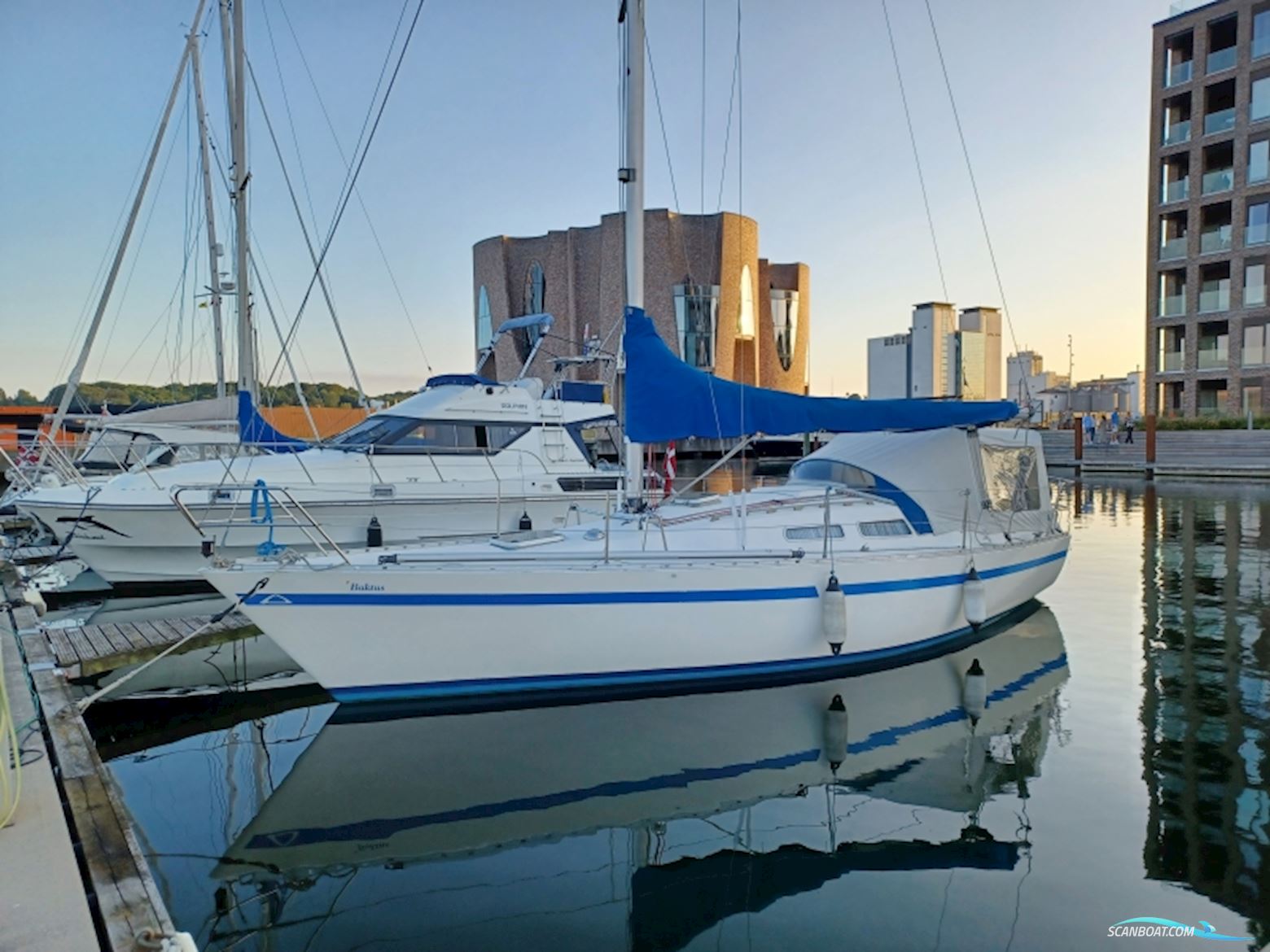 Arcona 32 Sejlbåd