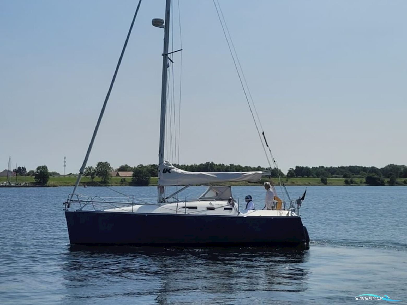 Astraea 295 Sprinter