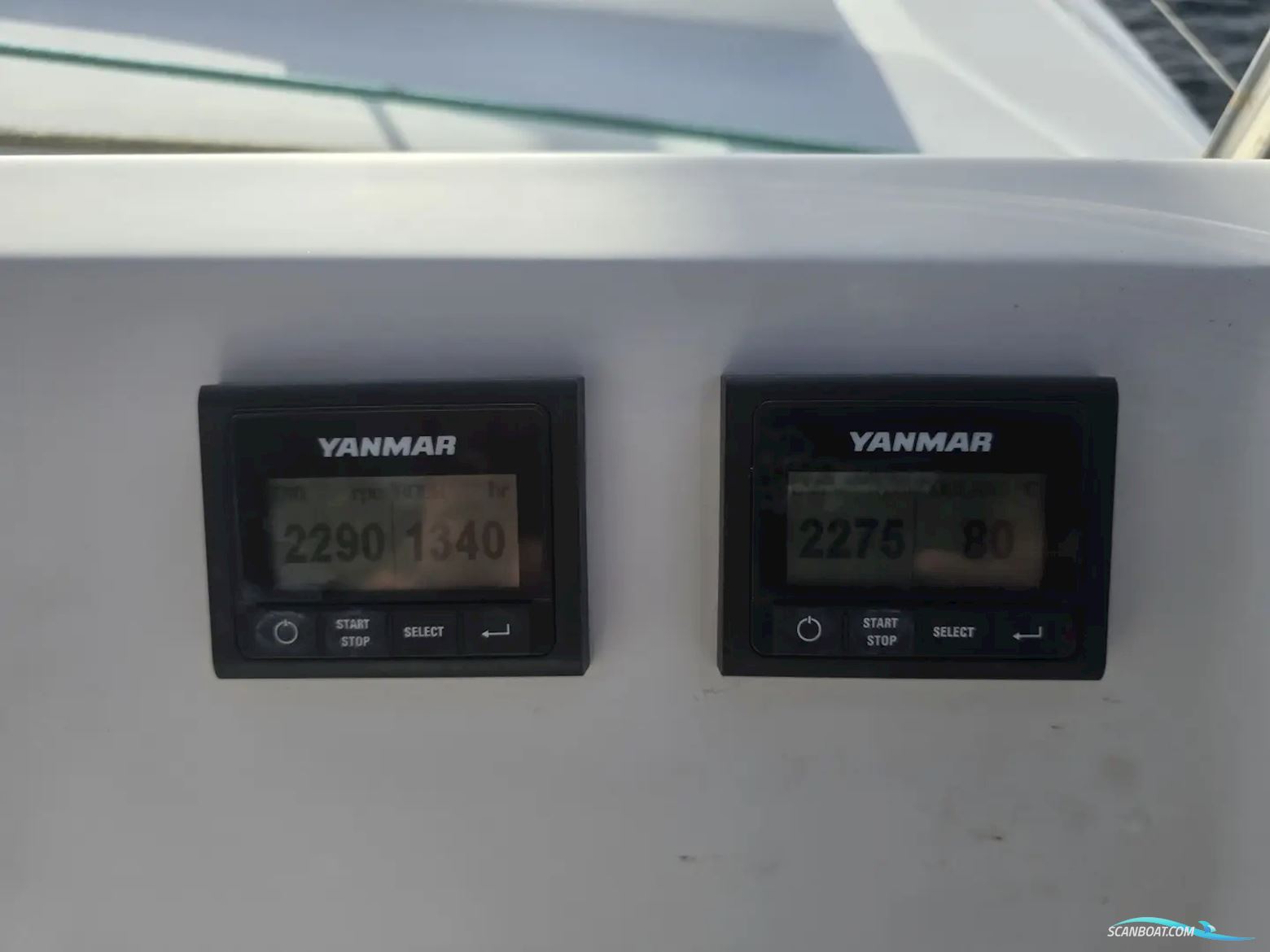 Bali Catspace MY