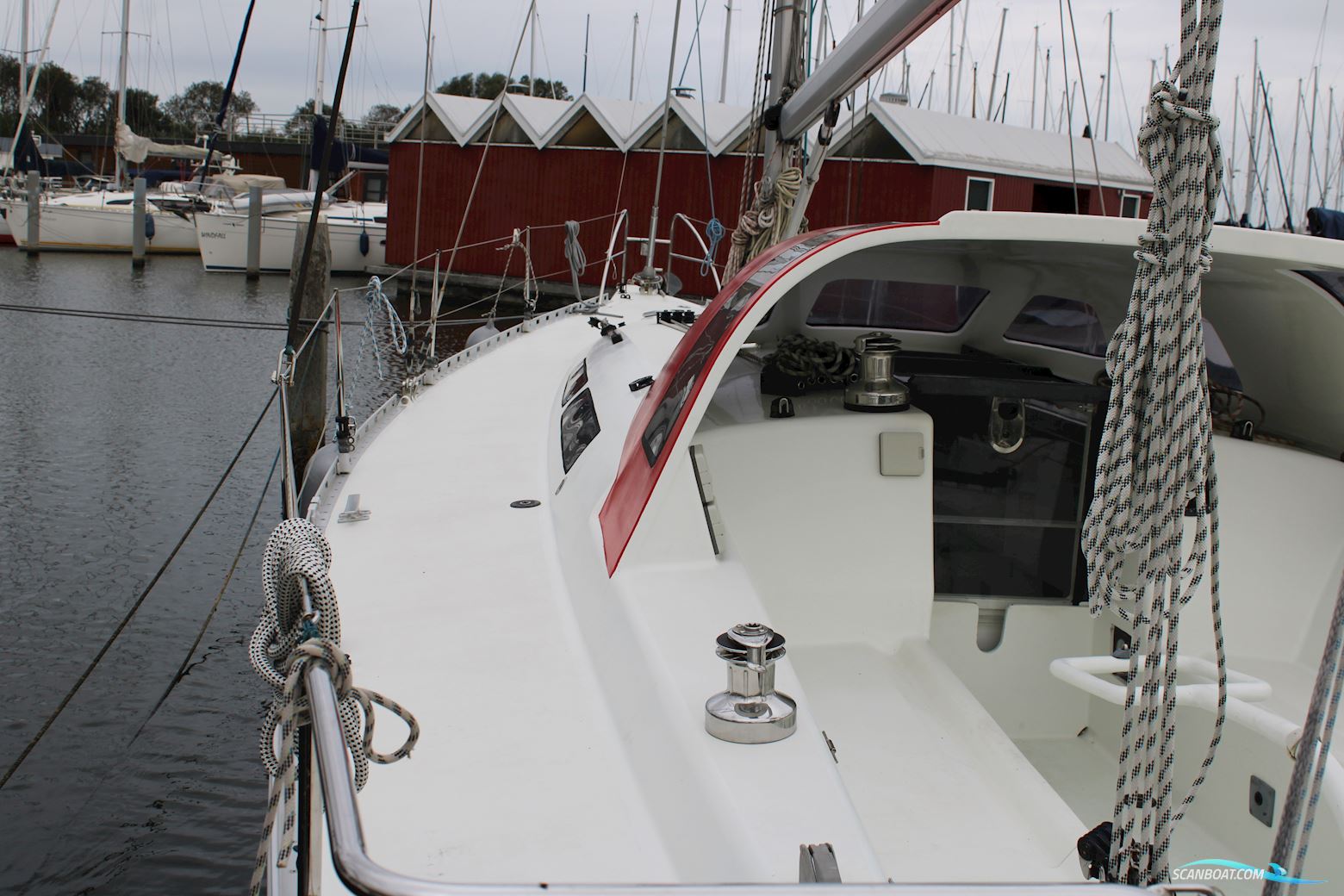 Balta 40