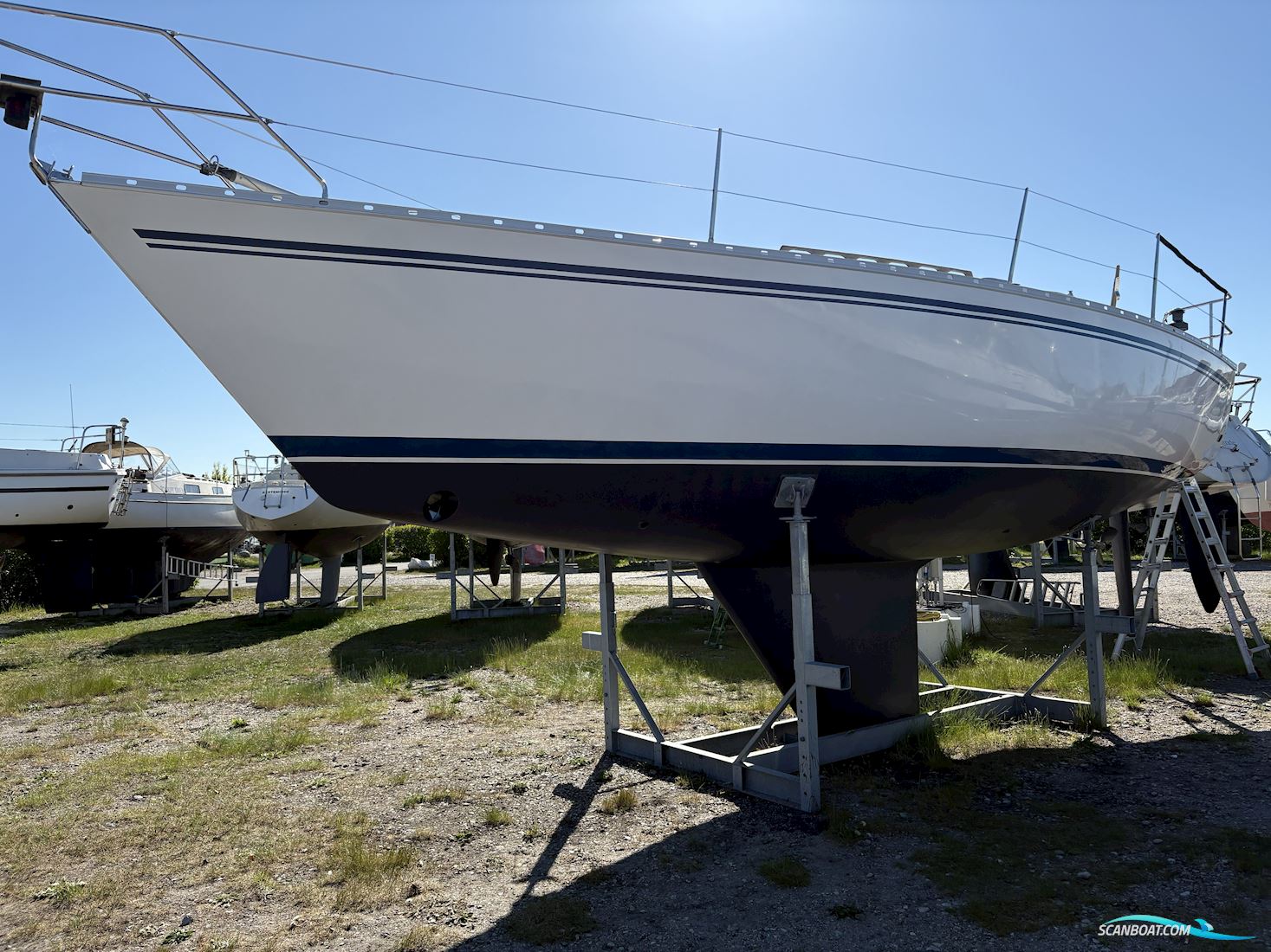 Bavanca 320/ Bianca 320