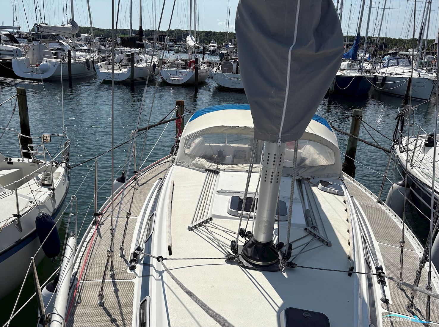 Bavanca 320/Bianca 320