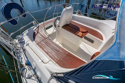 Bavaria 30 Cruiser Sejlbåd 2006, med Volvo Penta motor, Holland