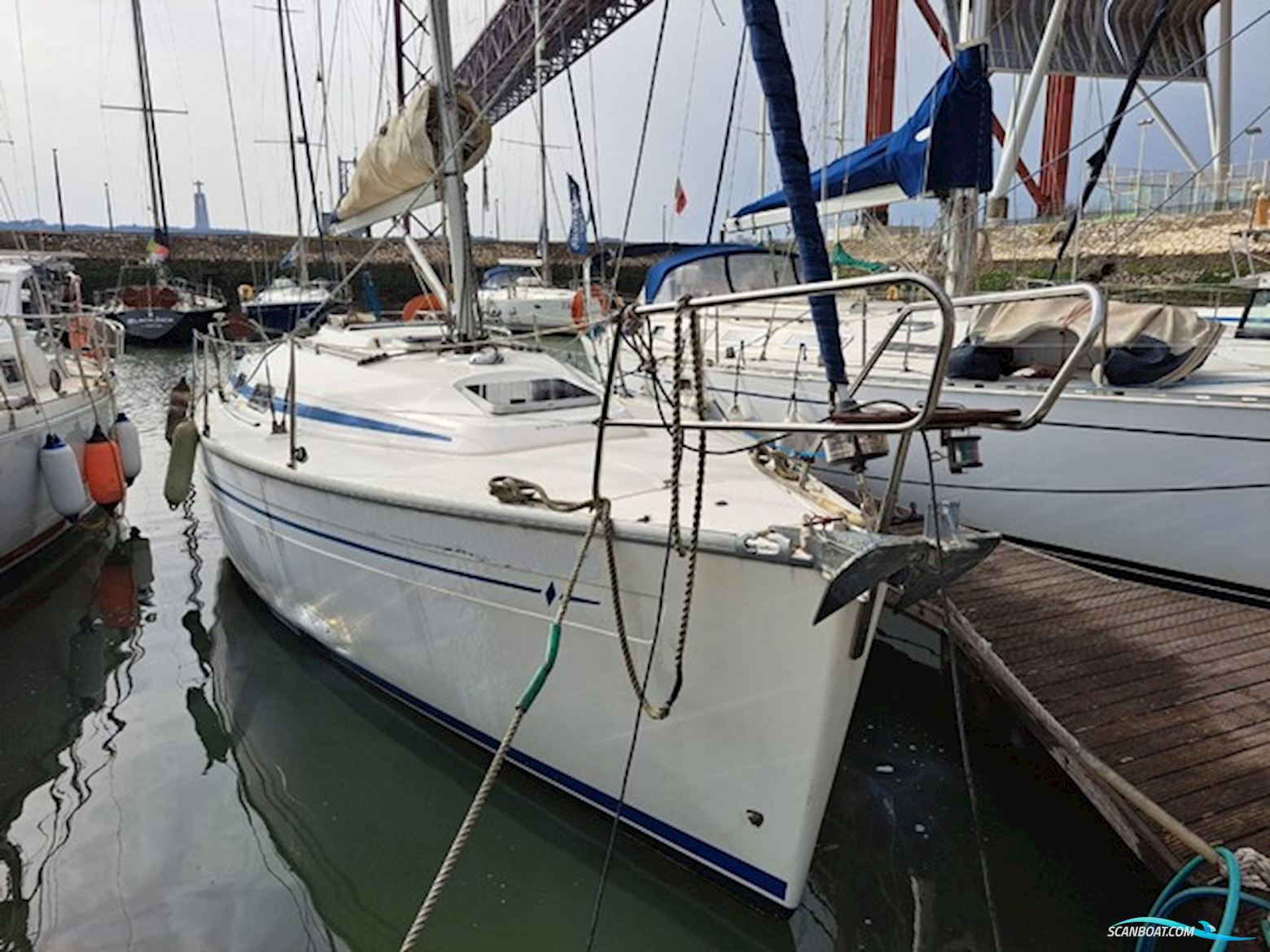 Bavaria 31