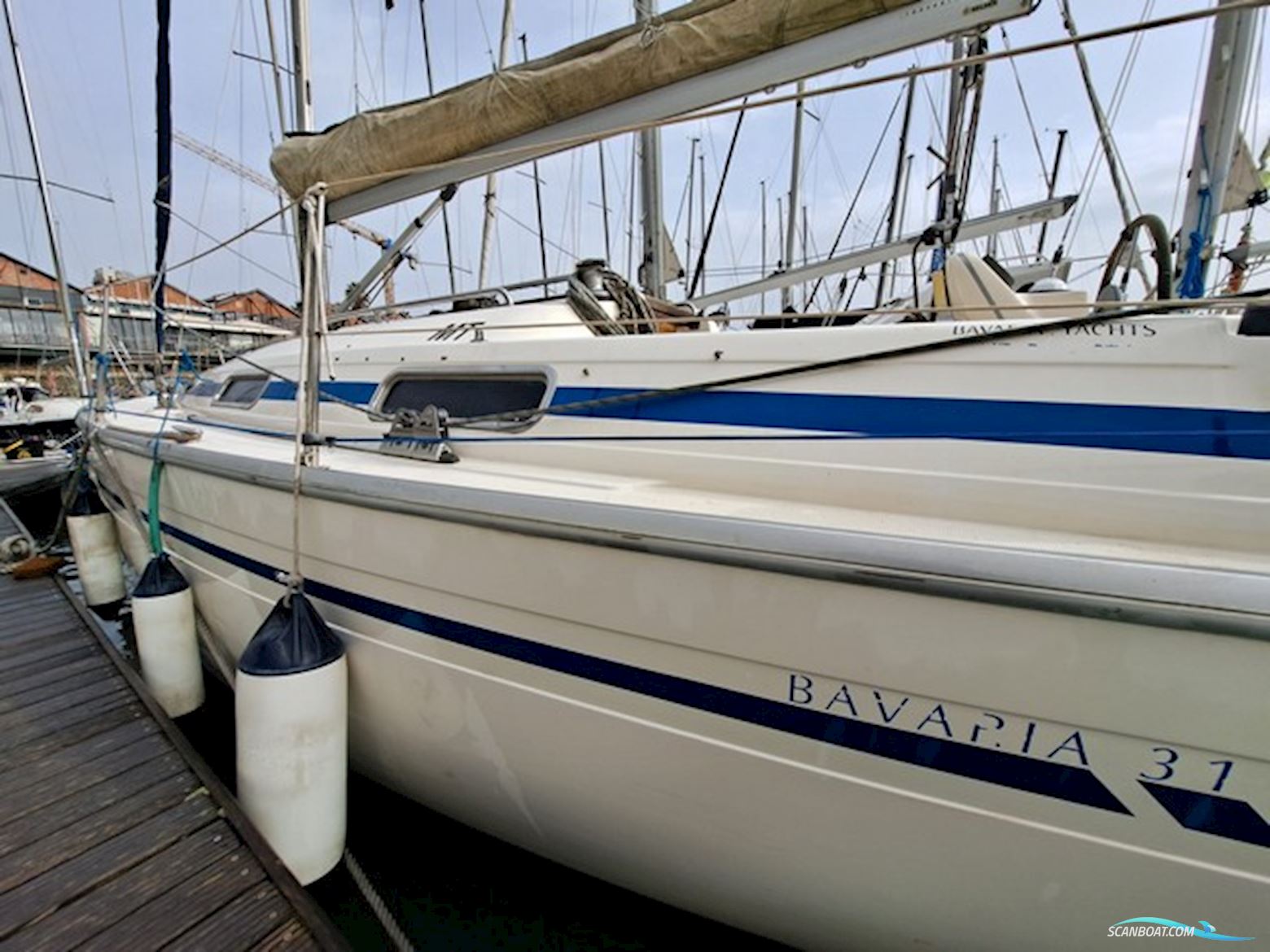 Bavaria 31