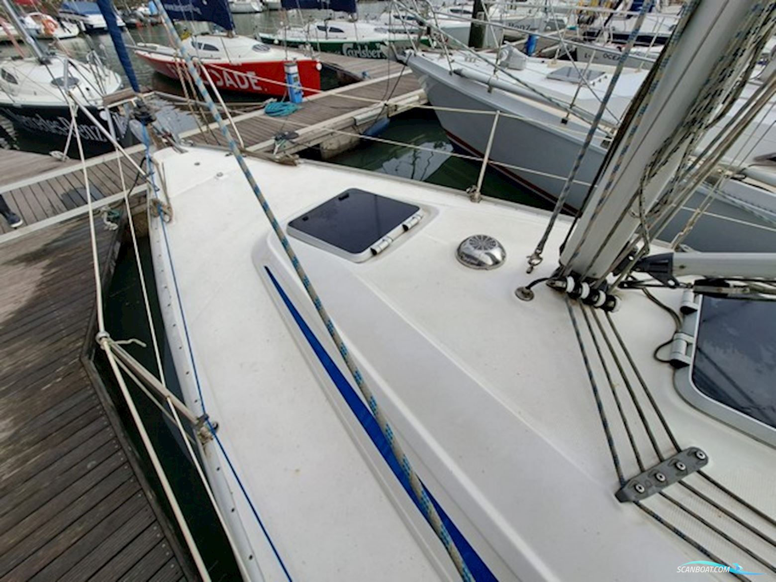 Bavaria 31