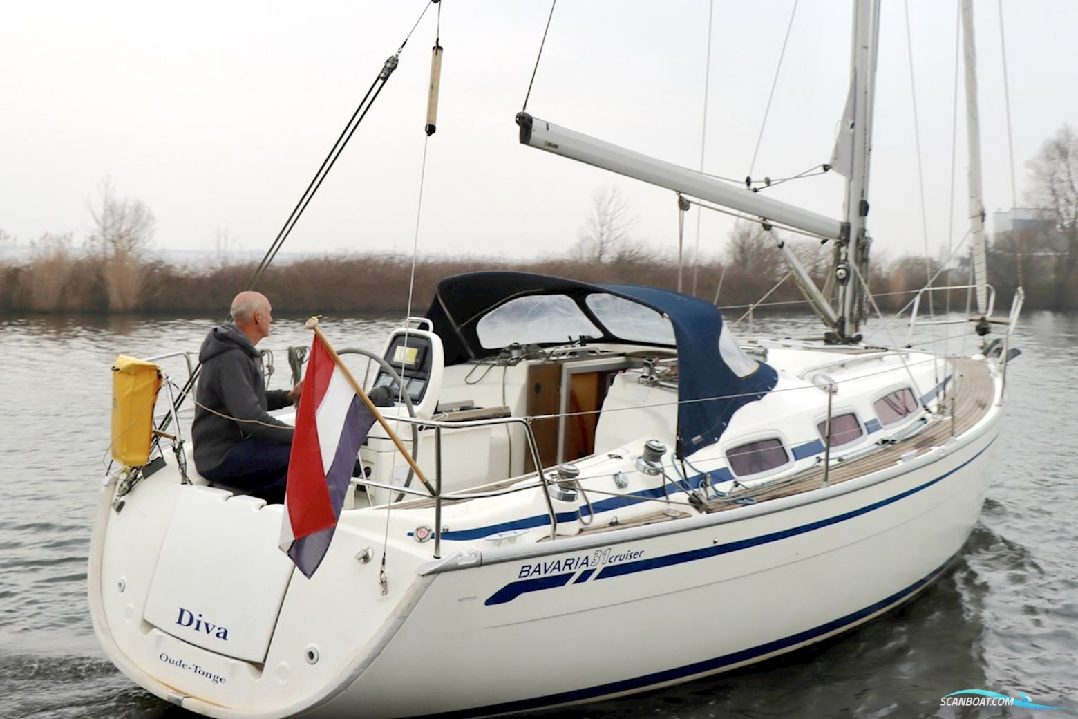 Bavaria 31