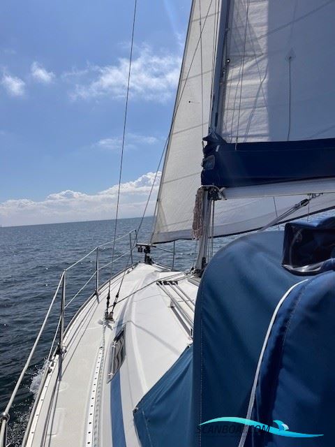 Bavaria 31