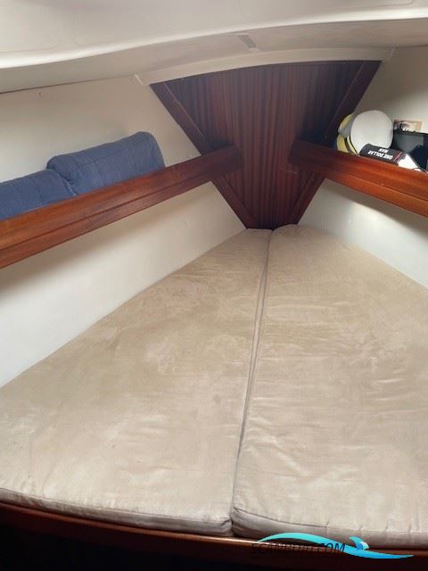 Bavaria 31
