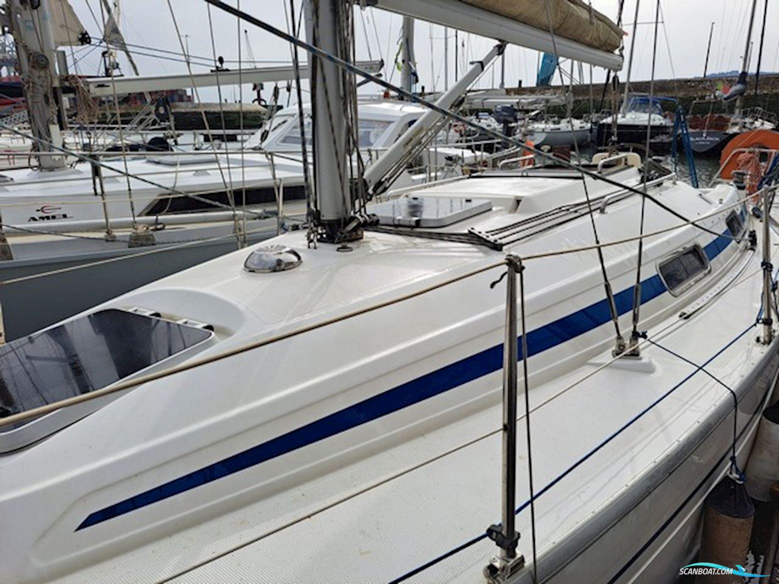 Bavaria 31