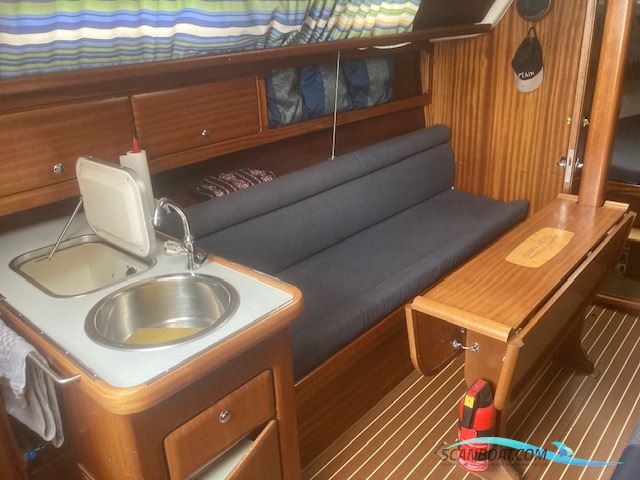 Bavaria 31