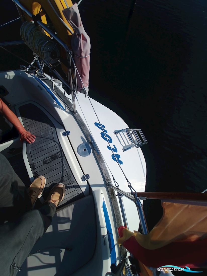 Bavaria 34 Lagoon
