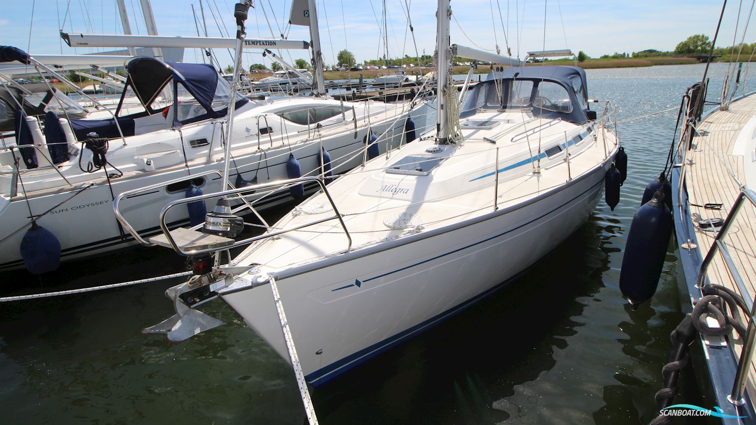 Bavaria 36-3